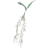SR-icon-ingredient-Nirnroot.png